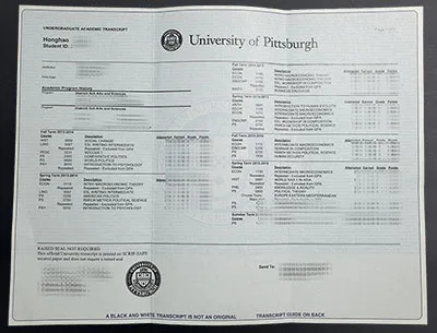 Collectible University Pittsburgh Academic-Style Novelty Transcript