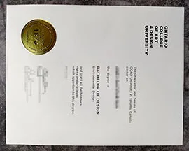 purchase realistic Ontario College of Art & Design University degree