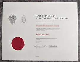 purchase realistic York University Osgoode Hall Law School degree